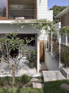 an apartment building with plants in the front yard