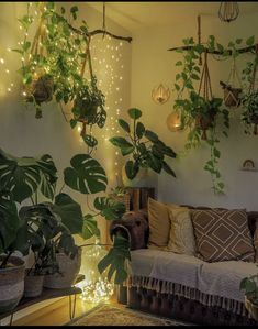 a living room filled with lots of plants and lights