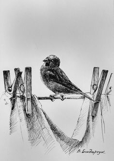 a black and white drawing of a bird sitting on a fence post with the sky in the background