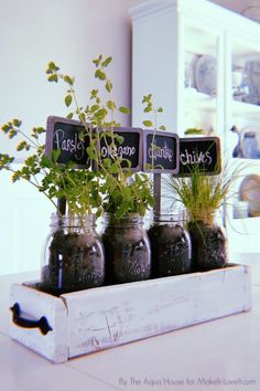 four mason jars with plants in them are sitting on a counter top, labeled herbs and chalkboards