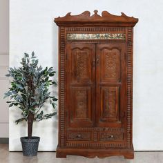 an old wooden cabinet next to a potted plant on the floor in front of a white wall