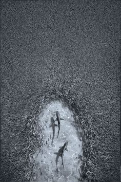 two people are swimming in the ocean with their shadows on the water's surface