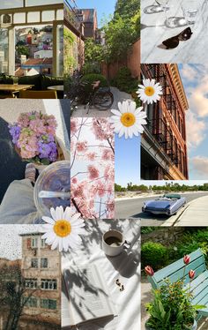 a collage of photos with flowers and buildings in the background