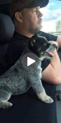 a man sitting in the back seat of a car holding a small dog