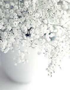 a vase filled with white flowers on top of a table