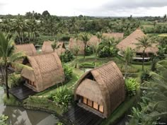 an aerial view of some huts in the middle of palm trees and other greenery