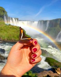 a hand holding a butterfly in front of a waterfall with a rainbow on the other side