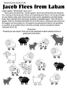 an image of sheeps from laban's children's bible study book