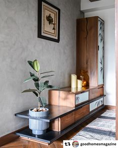 a potted plant sitting on top of a wooden shelf next to a wall mounted cabinet