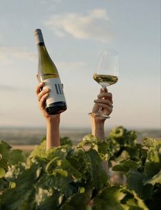 two people holding up wine glasses in the middle of a field with green plants and blue sky