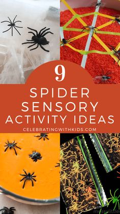 spider activities and crafts for kids with text overlay that reads 9 spider sensory activity ideas