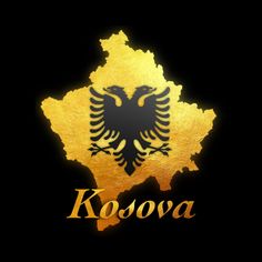 the logo for kosova with an eagle on it's head and gold paint