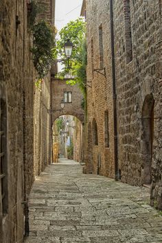 an alley way with cobblestone stone buildings and trees growing on the side walls