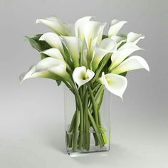 white flowers in a clear vase on a gray background