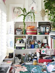 a bookshelf filled with lots of different types of items next to a potted plant