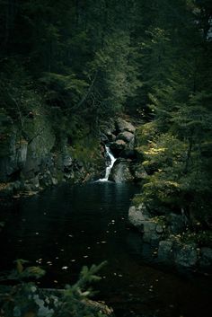 River in the middle of the wild forest in Canada Canada Forest Aesthetic, Quebec Forest, Canada Wilderness, Bc Forest, Canada Forest, Tremblant Quebec, West Coast Canada, Forest Hike, Hidden Waterfall