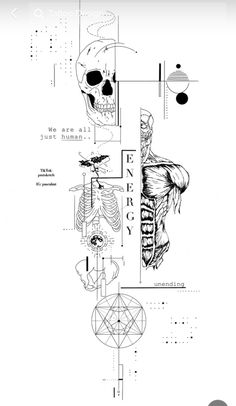 a black and white drawing of a skull with various parts on it's face