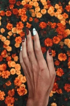 Oval Nail Art, Pretty Manicures, Fall Nail Art, Oval Nails, Perfect Nails, Cute Acrylic Nails