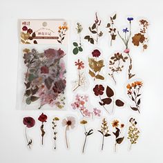 various pressed flowers and leaves are displayed on a white surface with stickers attached to them