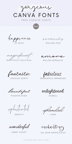 some type of font that is in different styles and colors, with the words canva font