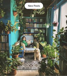 a person sitting on a couch with a dog in front of some potted plants