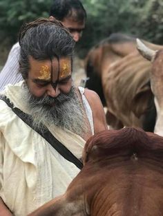 a man with gold paint on his face standing next to two cows