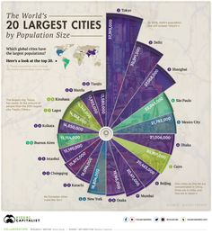 the world's 20 largest cities by population size infographical poster, 2011