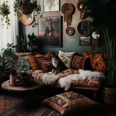 a dog sitting on top of a couch in a living room filled with plants and pictures