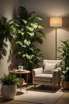 a living room filled with lots of potted plants next to a couch and table