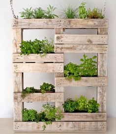 a wooden pallet filled with plants on top of a white wall next to a planter