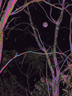 some trees are lit up at night with the moon in the sky and stars above them