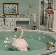 a swan is swimming in a bathtub with the reflection of a woman in the mirror