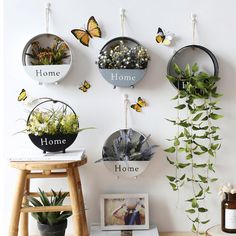 the wall is decorated with various plants and pictures hanging on it's sidewall