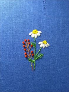 two white daisies and some red berries on a blue background with stitched edges