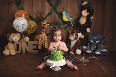 Lion King Birthday, Hawaiian Party Decorations, Baby Boy 1st Birthday Party, Safari Theme Birthday, Zoo Birthday