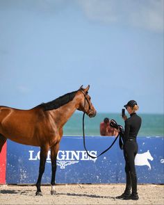 a woman standing next to a brown horse on top of a sandy beach