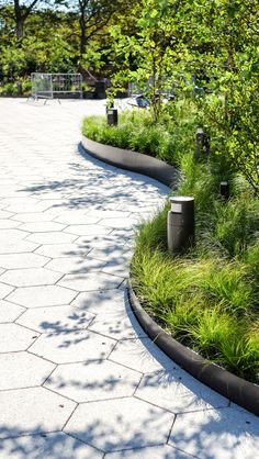 an outdoor garden area with grass and trees in the background, surrounded by stone pavers