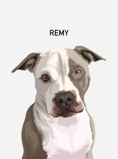 a white and brown dog with the words rem on it's forehead, in front of a gray background