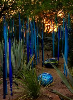 there are many blue vases in the garden