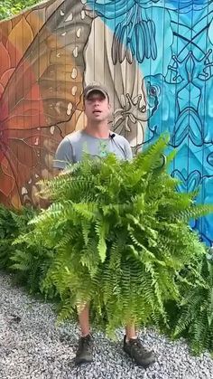 a man is standing in front of a mural with green plants on the ground and behind him there is a large fern