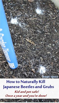 a baseball bat sitting on top of a pile of mulch next to a ball