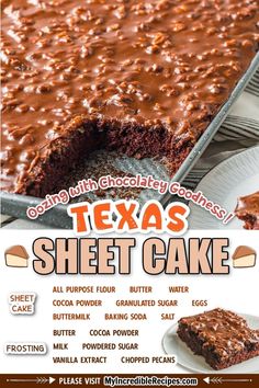 texas sheet cake with chocolate frosting on top and an advertisement for tex's