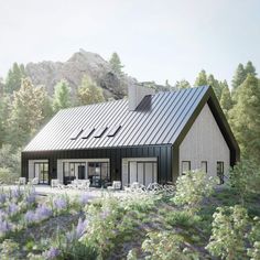 this is an artist's rendering of a modern cabin style home in the mountains