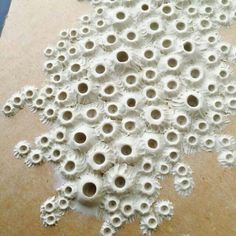 a bunch of white flowers sitting on top of a table