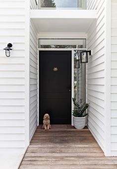 a dog sitting in front of a black door on a white house with wood flooring