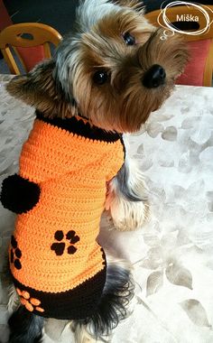 a small dog wearing an orange and black crocheted shirt with paw prints on it's chest