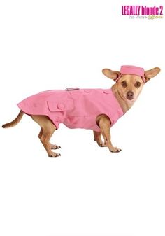 a small dog in a pink coat and hat on a white background with the caption legally blonde 2