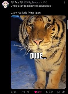 an image of a tiger with caption that reads dude uncle grandpa i hate black people