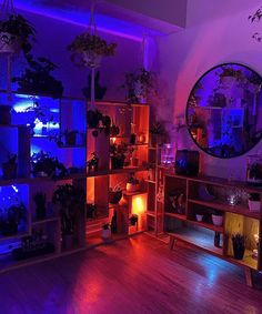 a room filled with lots of plants and lights