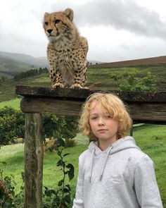 a young boy standing on top of a wooden fence next to a cheetah